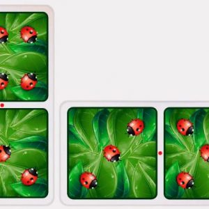 Dominó Ilustrado Puntos Mariquitas