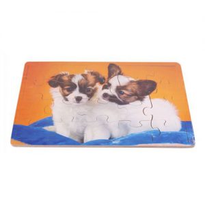 RC Varios modelos 20 piezas