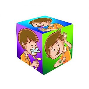Cubo de Tela Sentidos