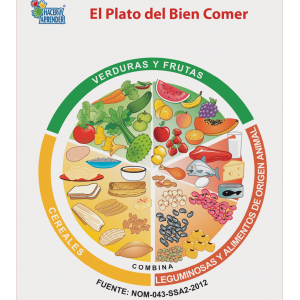 Lámina Didáctica El Plato del Buen Comer