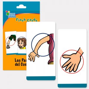 Flash Cards Partes del Cuerpo
