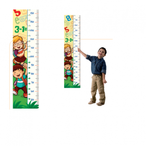 Regla para Medir Estatura